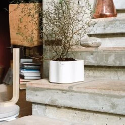 Artek Übertopf Riihitie B, Klein, Weiß Glänzend 10 Artek Übertopf Riihitie B, Klein, Weiß Glänzend -Allgemeiner Haushaltswarenladen 399Artek iso FV