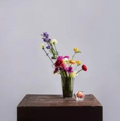 Iittala Schale Aalto 75 Mm, Klar 10 Iittala Schale Aalto 75 Mm, Klar -Allgemeiner Haushaltswarenladen Iittala 2018 Aalto mossgreen clear