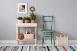 Taimi Pflanzenständer Mit Niedrigem Kasten -Allgemeiner Haushaltswarenladen TAIMI Plant Tray f3