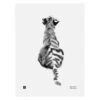 Tiger Cub Poster, 30 × 40 cm -Allgemeiner Haushaltswarenladen TJ6430065513247