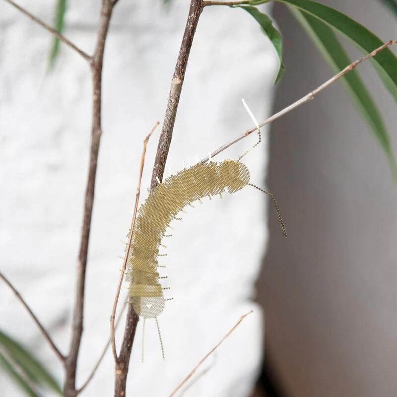 Mitbewohner Ornament, Tausendfüßler, Messing 4 Mitbewohner Ornament, Tausendfüßler, Messing – Bild 2