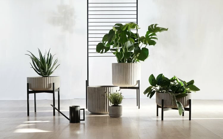 Klorofyll Pflanzgefäß Mit Ständer, Oval, Grau 7 Klorofyll Pflanzgefäß Mit Ständer, Oval, Grau – Bild 5