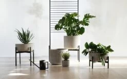 Klorofyll Pflanzgefäß Mit Ständer, Niedrig, Grau 9 Klorofyll Pflanzgefäß Mit Ständer, Niedrig, Grau -Allgemeiner Haushaltswarenladen klorofyllanderssenvollforelementa